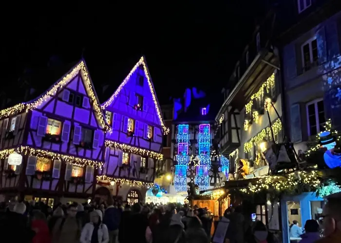 Apartment Chez Celine Colmar